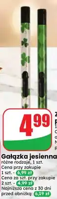 Dino Zapalarka piezoelektryczna Arezzo oferta