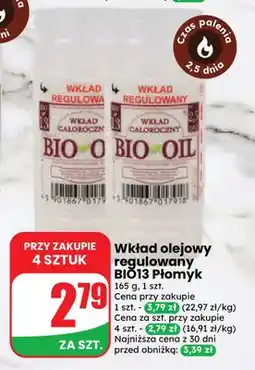 Dino Wkład olejowy regulowany BIO13 Płomyk oferta