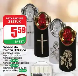 Dino Wkład do znicza LED Rico oferta