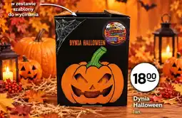 Żabka Dynia Halloween oferta