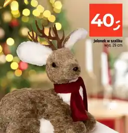 Dealz Jelonek w szaliku oferta