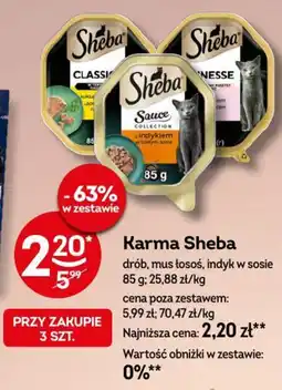 Żabka Karma Sheba oferta