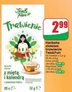 Dino Herbata ziołowa trawienie Tea&Fun oferta