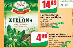 Dino Herbata zielona Gunpowder Malwa oferta