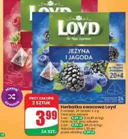 Dino Herbatka owocowa Loyd oferta