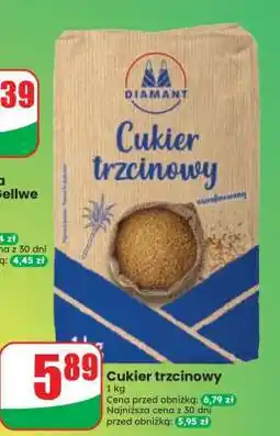 Dino Cukier trzcinowy oferta