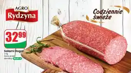Dino Salami rogal oferta