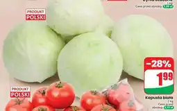 Dino Kapusta biała oferta