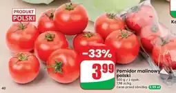 Dino Pomidor malinowy polski oferta