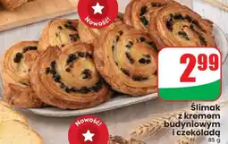 Dino Ślimak z kremem budyniowym i czekoladą oferta