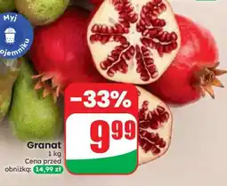 Dino Granat oferta
