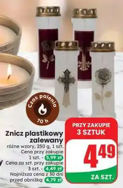 Dino Znicz plastikowy zalewany oferta