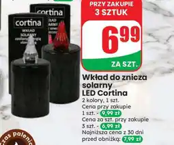 Dino Wkład do znicza solarny LED Cortina oferta