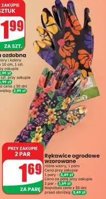 Dino Rękawice ogrodowe wzorowane oferta