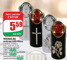 Dino Wkład do znicza LED Rico oferta