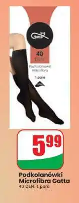 Dino Podkolanówki Microfibra Gatta oferta