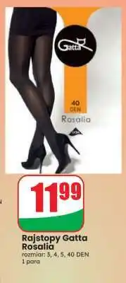 Dino Rajstopy Gatta Rosalia oferta