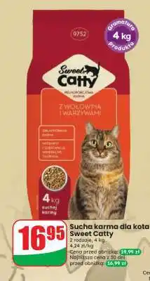 Dino Sucha karma dla kota Sweet Catty oferta