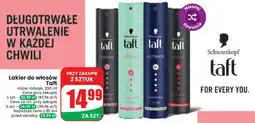 Dino Lakier do włosów TAFT oferta