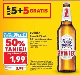 Kaufland Żywiec oferta