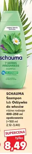 Kaufland SCHAUMA Szampon lub Odżywka do włosów oferta