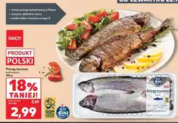 Kaufland Pstrąg tęczowy – patroszony oferta