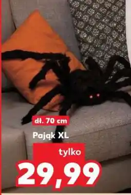 Kaufland Pająk XL oferta
