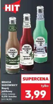Kaufland BRACIA SADOWNICY oferta