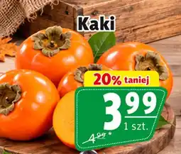 Prim Market Kaki oferta