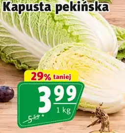 Prim Market Kapusta pekińska oferta
