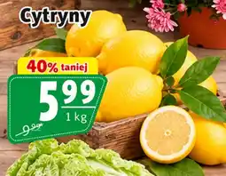 Prim Market Cytryny oferta
