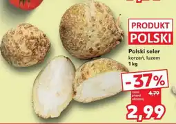 Kaufland Polski seler oferta
