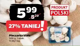 Netto Pieczarka biała oferta