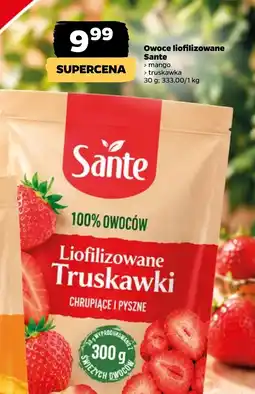 Netto Liofilizowane Truskawki Sante oferta