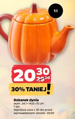 Netto Dzbanek dynia oferta