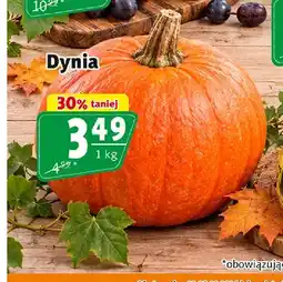 Prim Market Dynia oferta