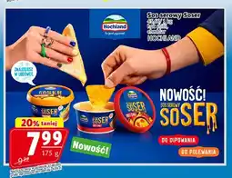Prim Market Sos serowy Soser hot chilli Hochland oferta