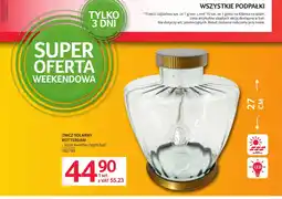 Selgros Znicz led oferta