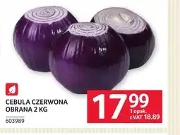 Selgros Cebula czerwona oferta