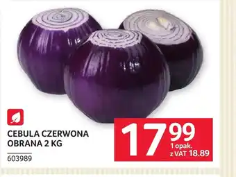 Cebula czerwona