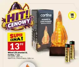 Twój Market Wkład LED płomień Xl Cortina oferta