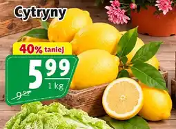 Prim Market Cytryny oferta