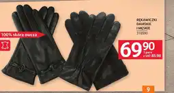 Selgros Rękawiczki oferta