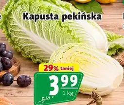 Prim Market Kapusta pekińska oferta