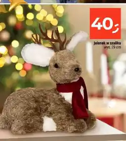 Dealz Jelonek w szaliku oferta