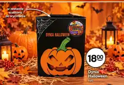 Żabka Dynia Halloween oferta