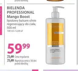 Hebe Lipidowy balsam silnie regenerujący do ciała Mango Boost Bielenda Professional oferta