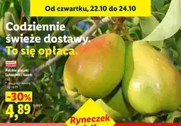 Lidl Gruszki polskie Lukasówki oferta