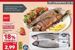 Kaufland Pstrąg tęczowy K-Blue Bay oferta