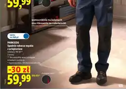 Lidl Spodnie robocze męskie z ociepleniem Parkside oferta